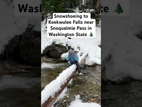 Snowshoeing to Keekwulee Falls near Snoqualmie Pass in Washington State. 🌲🏔️❄️