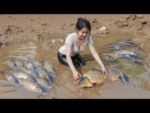 Use Truck To Harvesting 1000+ Big Fish In Fish Pond Go To Market Sell - Farm Life