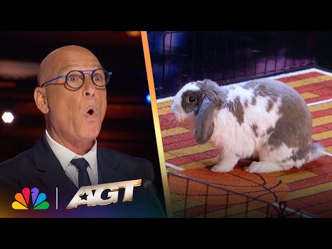 Bini The Bunny Performs Basketball Stunts | AGT