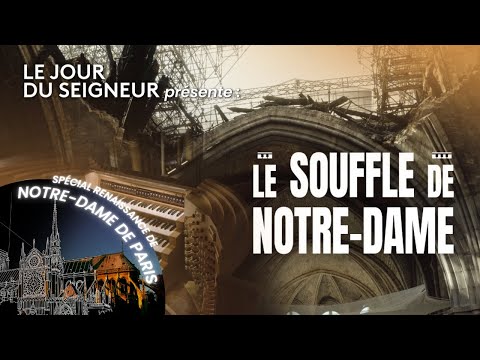 Le Souffle de Notre-Dame : le retour du grand orgue