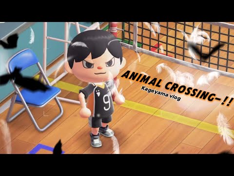 🐦‍⬛[ハイキュー!!]🐦‍⬛🏐Kageyama Tobio VLOG 🏐anmal crossing 하이큐 카게야마 브이로그 #animalcrossingnewhorizons #vlog 