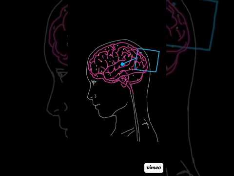 Grok4๐๐ค#elonmusk #grok #ai #technologicaldevelopments #viral #video #trending #shorts #global #trend