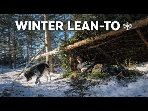 Bushcraft Winter Survival Shelter | Building a Simple Lean-To in Winter [ASMR]