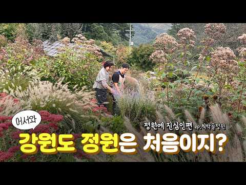 🏡LAN Gardens│Introducing Gangwon-do's Jjikbakgol Garden Part 1🌹 Serious about gardens ep.5