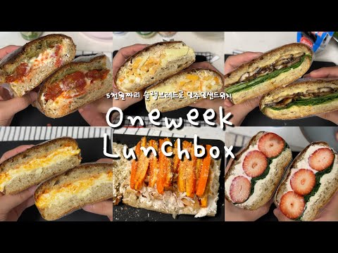 [OneWeek Lunchbox #10] 5천원짜리 슬랩브레드 하나로 일주일치 점심샌드위치 만드는 도시락브이로그