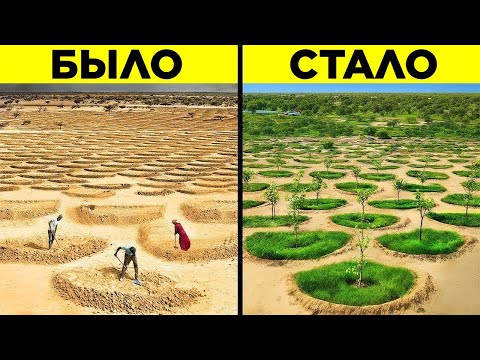 Сахару Превращают В Зелёный Оазис