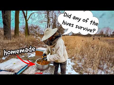 Winter Bee Feed: Putting on Pollen Patties! Beekeeping 101 #beekeeping