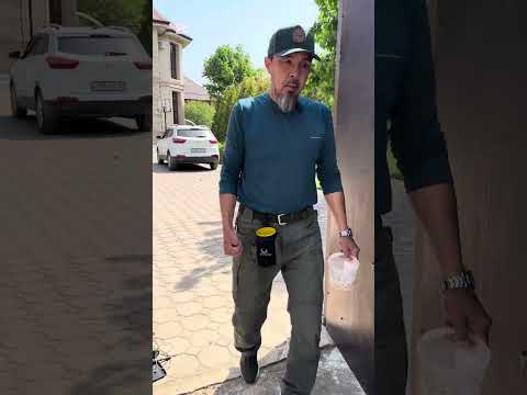 Щенок. Азы воспитания.