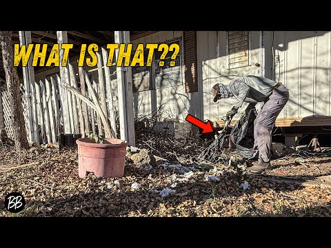 You Won't Believe what SQUATTERS did to this Widow 🫣