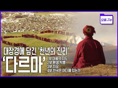 [명작다큐🎖️몰아보기] 인도에서부터 스리랑카, 미국까지.. 부처의 가르침, 마음으로부터의 자유를 실천해 마음의 병을 고친 사람들 | 2011 KBS '다르마 Dharma' 4부작