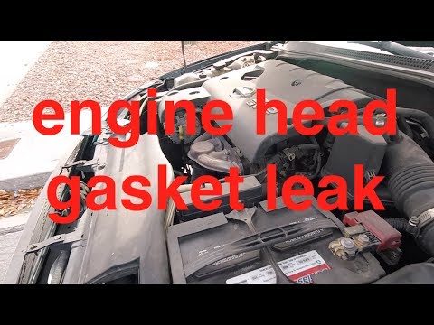 Let's TEST it - Blue Devil Head Gasket Sealer NISSAN Altima √ Fix it Angel
