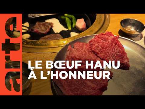 Corée du sud : le barbecue coréen | Voyage en cuisine | ARTE Family