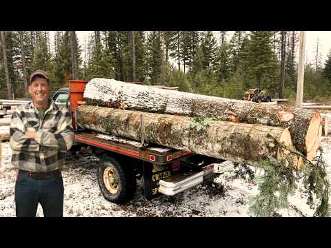 No One Wants to Mill Free 1200lb Logs Like This (But We Do)