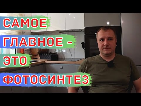 УРОЖАЙ Полевых Культур. КАК ДОСТИЧЬ МАКСИМУМА!!