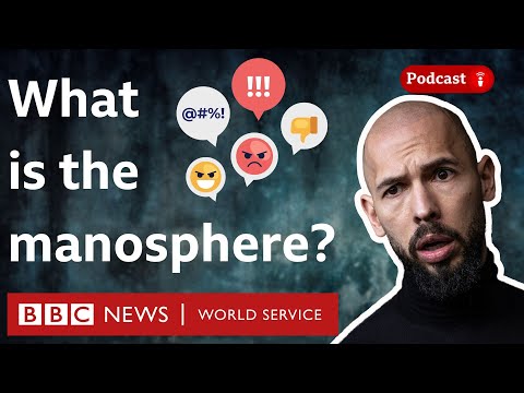 Why some men follow influencers like Andrew Tate - What in the World podcast, BBC World Service