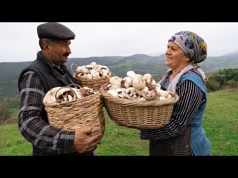 Wild Mushroom Harvest in the Shahdag Highlands 🍄🌿