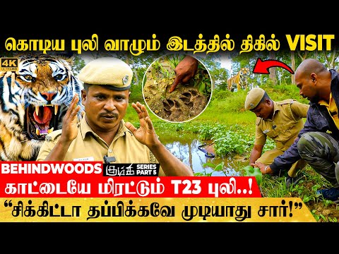 "இது புலியோட AREA...😲 உள்ள போனா ஆளையே காலி பண்ணிடும்.."😲 கொடிய புலி வாழும் இடத்தில் திகில் VISIT