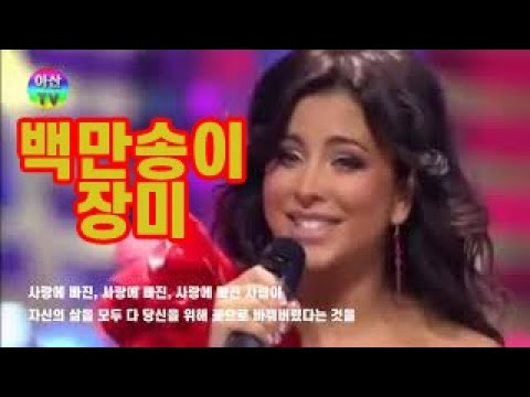 백만송이 장미원곡 VS 심수봉 백만송이 장미 A Million Roses Original vs. Simsubong Million Roses.