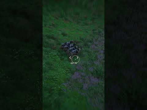 AC Valhalla Infinite Cow Glitch #shorts