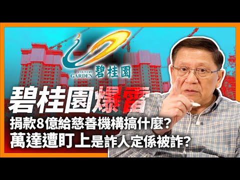 (中字) 碧桂園爆雷!捐款8億給慈善機構搞什麼?萬達遭盯上是詐人定係被詐?內房銷售頭15名大洗牌!誰能存活?《蕭若元:理論蕭析》2023-08-09