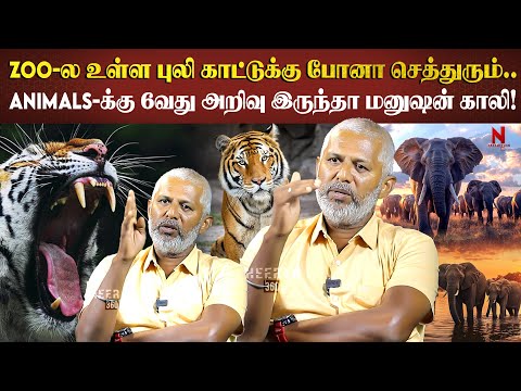 மிருகத்தோட குணம் தெரிலன்னா அவ்ளோதான்...| Wildlife photographer | Animals | Tiger | Elephant |