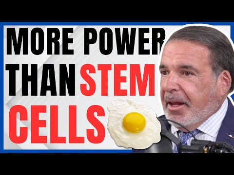 Longevity Scientist Reveals Compound in Eggs Increases Muscle & Lifespan (4 Pillars of Longevity)