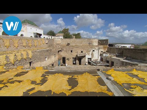 Morocco: from fur to fine leather