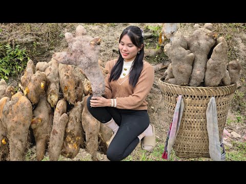 Single girl harvests wild potatoes to bring home as food for winter