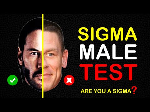 Are You a Sigma Male? | 9 Quick Questions