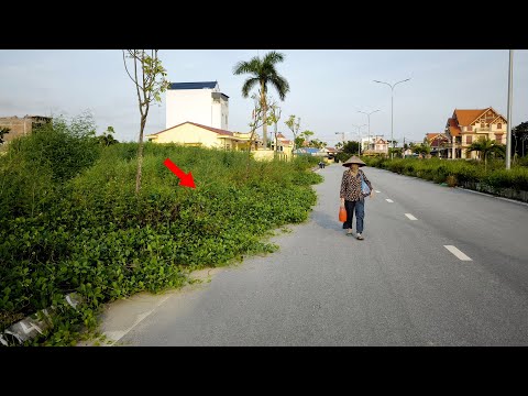 The Weeds Stretched out Their Arms as if to Push the Old woman off The Abandoned Sidewalk