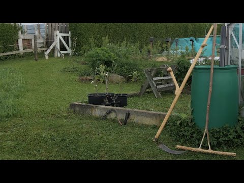 Mow no mow: trimming with Scottish scythe and grass hook.
