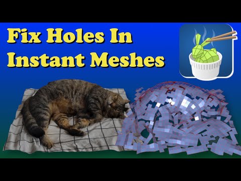 Fix Holes in Instant Meshes