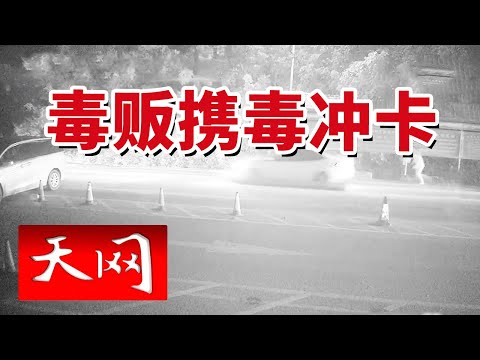 《天网》超强毒贩抓捕案！毒贩情急之下冲卡逃离！20240926