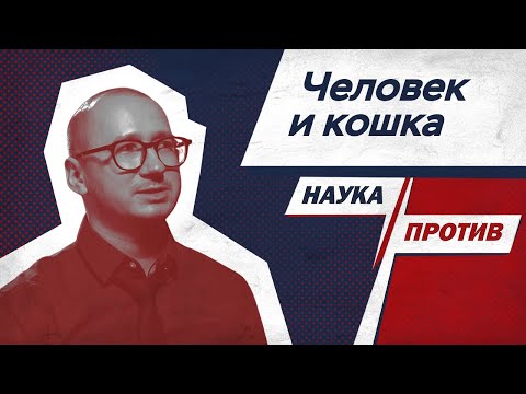 Зачем заводить кота? Отвечает зоопсихолог Мирослав Волков // Наука против