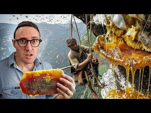 Risking Death for Honey: Indonesia’s Most Dangerous Job