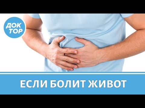 Болит живот. Что именно болит и что делать?
