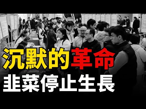 【中國失業之謎】1989 vs 2025丨一場「躺平」的無聲革命正震撼中共丨絕望的未來：丨中國失業率持續惡化至2038年？丨揭開「韭菜停止生長」的殘酷真相丨