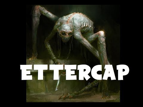 Dungeons and Dragons Lore: Ettercap