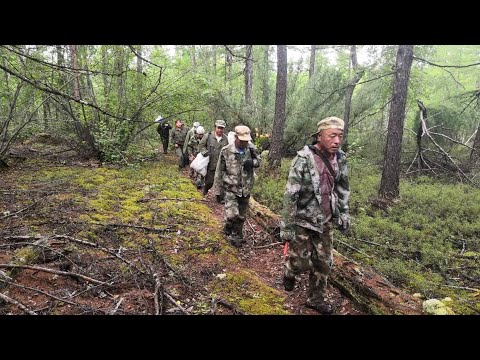 中国东北的这群人，靠山赚钱，挖到宝贝一天能赚上百万！