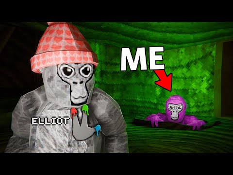 Secretly Player Tracking A YouTuber in Gorilla Tag