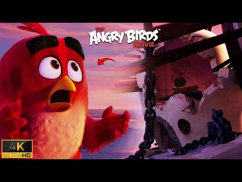 Pigs Arrive on Bird Island | Red vs Pigs | Angry Birds Movie (2016)