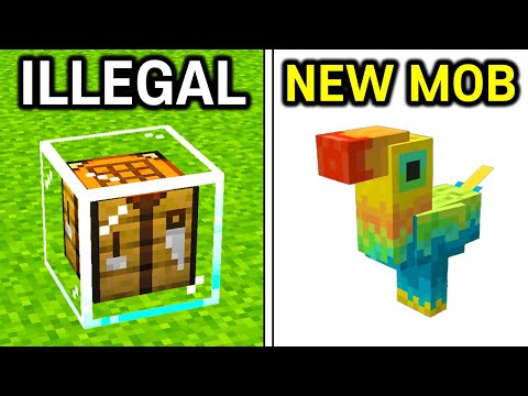 267 Amazing Minecraft Facts