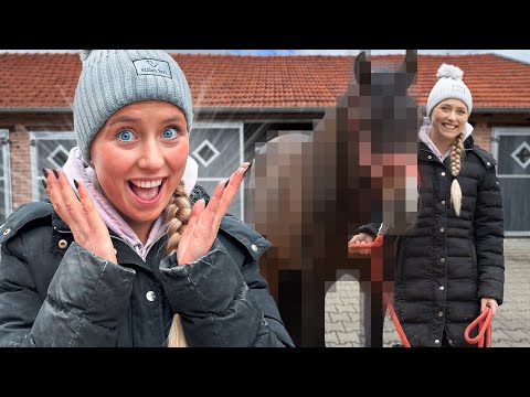 Ich habe ein NEUES PFERD!😍