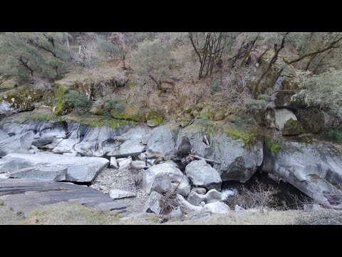 The Great Bulldozer Wreck