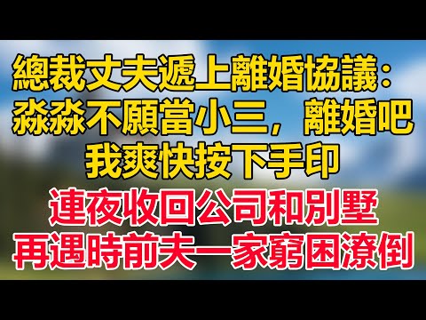 總裁丈夫遞上離婚協議：淼淼不願當小三，離婚吧，我爽快按下手印，連夜收回公司和別墅，再遇時前夫一家窮困潦倒 #情感故事 #為人處世  #老人生活  #退休生活