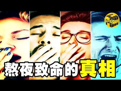全國3億人存在睡眠障礙，熬夜致命的真正原因！如何讓失眠者2分鐘之內睡成死豬？11天不睡覺，28小時生物鐘，極端實驗揭示睡眠真相 [Unsolved Mystery Stories | Xiaowu]
