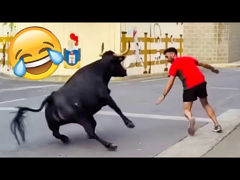 Best Funny Videos Of 2025 😂 TRY NOT TO LAUGH Funny Videos #15 😂