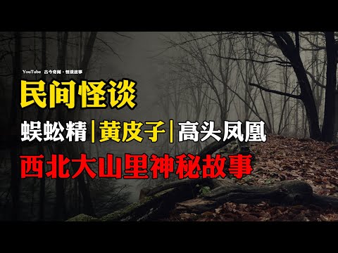 【民间怪谈】蜈蚣精、黄皮子、高头凤凰：西北大山里的神秘故事！ | 故事会 | 恐怖故事 |  深夜讲鬼话 | 灵异故事 | 睡前鬼故事 | 诡异故事 | 奇闻怪谈  | 真实灵异故事
