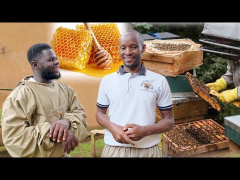 How This Ugandan Turned His Backyard Into A Thriving Bee Farm & Now Makes Millions