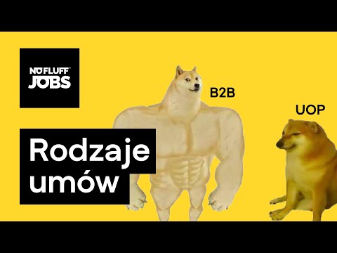 Umowy dla programistów ⌨️ hello roman #136